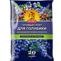 A157172 articul-A157172