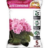 A157173 articul-A157173