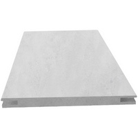 articul-A164529