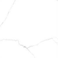 articul-A244405-2