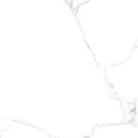 articul-A244405