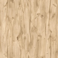 articul-A258411