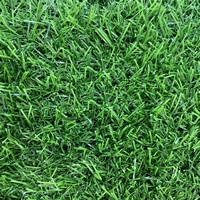 A261114 articul-A261114