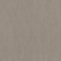 articul-A263321