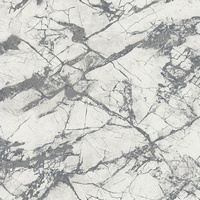 articul-A264749