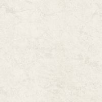 articul-A267021