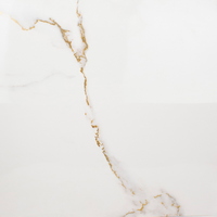 articul-A268881