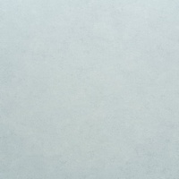 articul-A269299