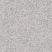 articul-A273419
