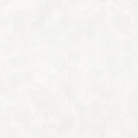 articul-A276984