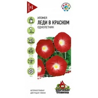 articul-A283509