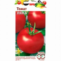articul-A290586