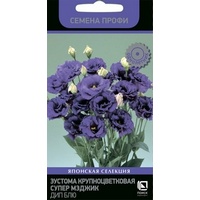 articul-A290600