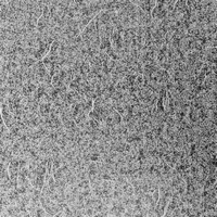 articul-A293794