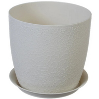 articul-A303220