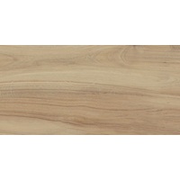 A304572 articul-A304572