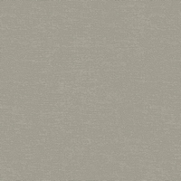 articul-A304821
