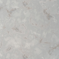 articul-A307007