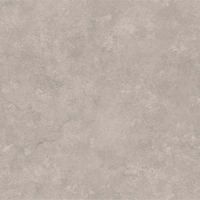articul-A307436