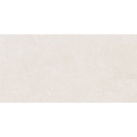 articul-A311284