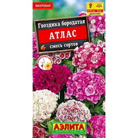 articul-A326229