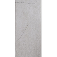 articul-A339085