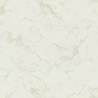 articul-A347243