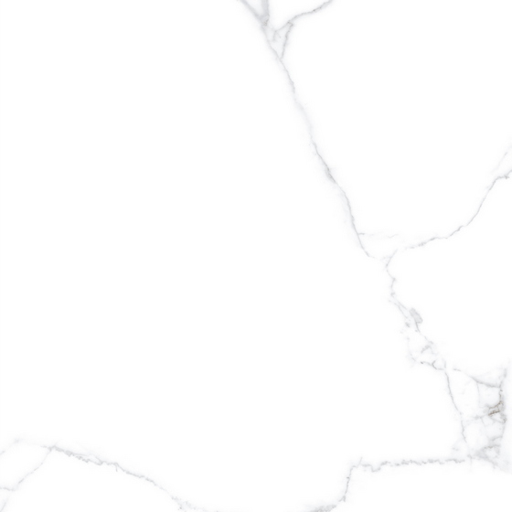 articul-A244405